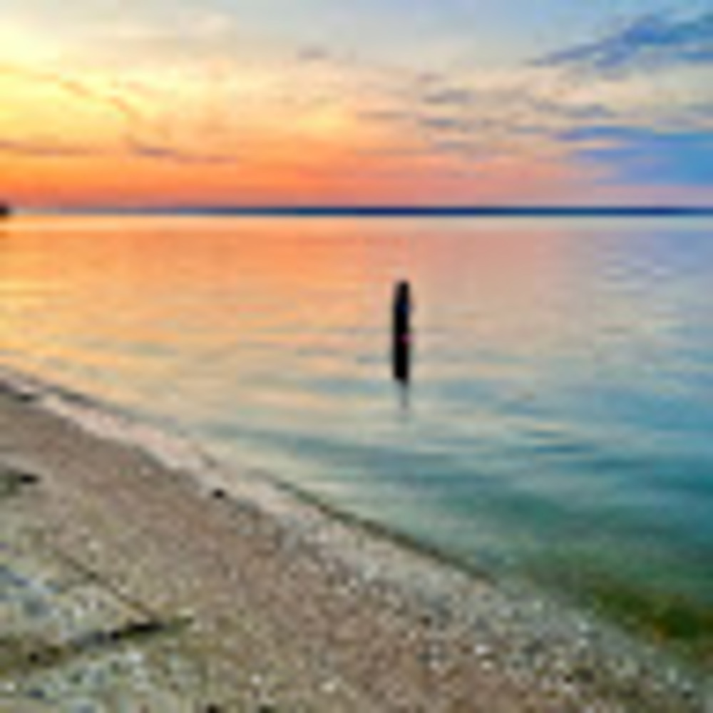 Meet your Posher, Ava grace